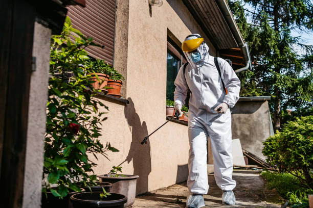Best Pest Control Near Me  in Argos, IN