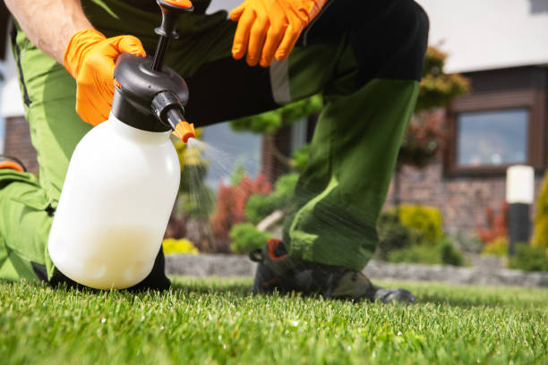 Best Pest Removal Services  in Argos, IN