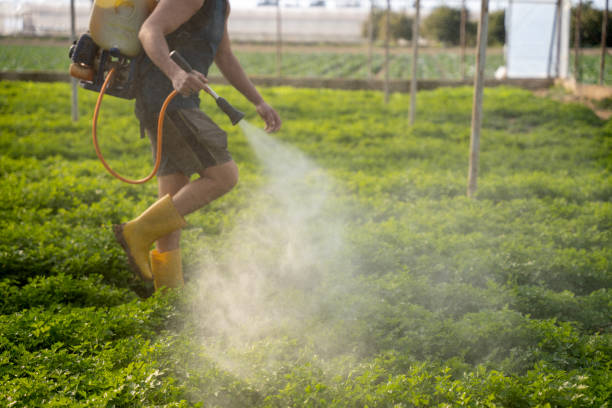 Best Affordable Pest Control Services  in Argos, IN