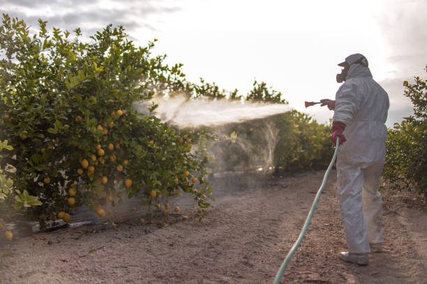Best Pest Removal Services  in Argos, IN