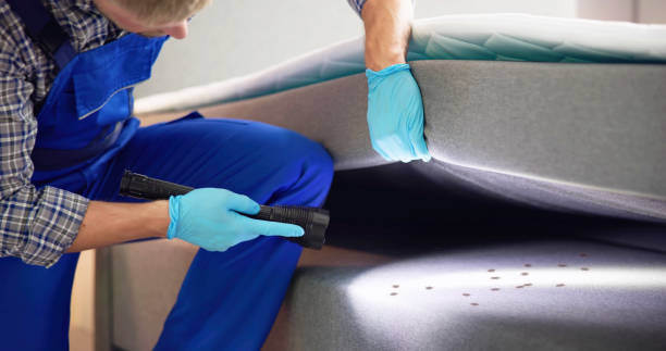 Best Pest Prevention Services  in Argos, IN