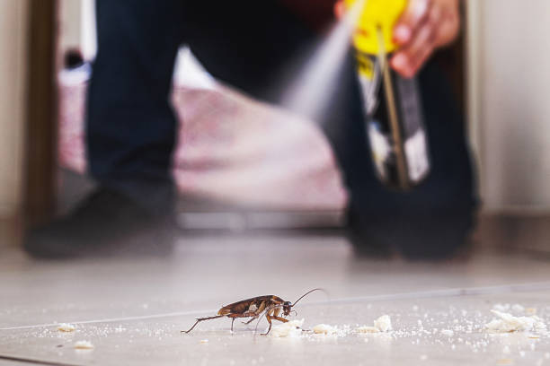 Reliable Argos, IN Pest Control Solutions